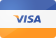 visa card